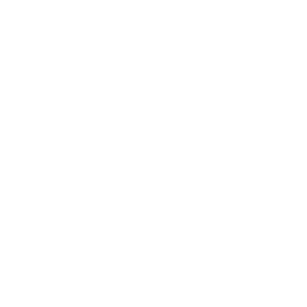 Drone Roof Inspections